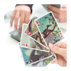 Kikkerland paquete de cartas dinosaurio 3d GG129